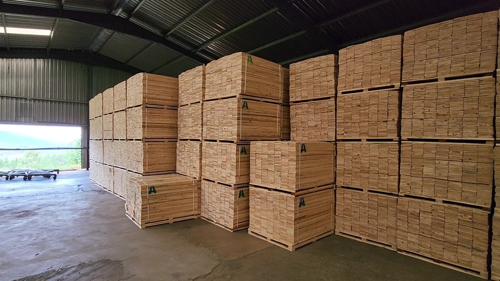 Timber packs stacked in rows in the warehouse